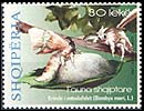 Albania new post stamp Albanian Fauna - Bombyx mori