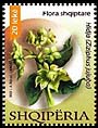 Albania new post stamp Albanian Flora 2023