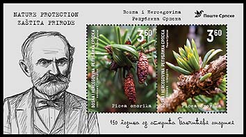 Doğanın korunması