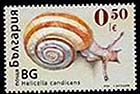 Fauna – snails