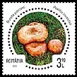 Romania new post stamp Inedible mushrooms