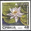 Serbia new post stamp Europe 2024 - underwater fauna and flora