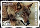 Anatolian wolves